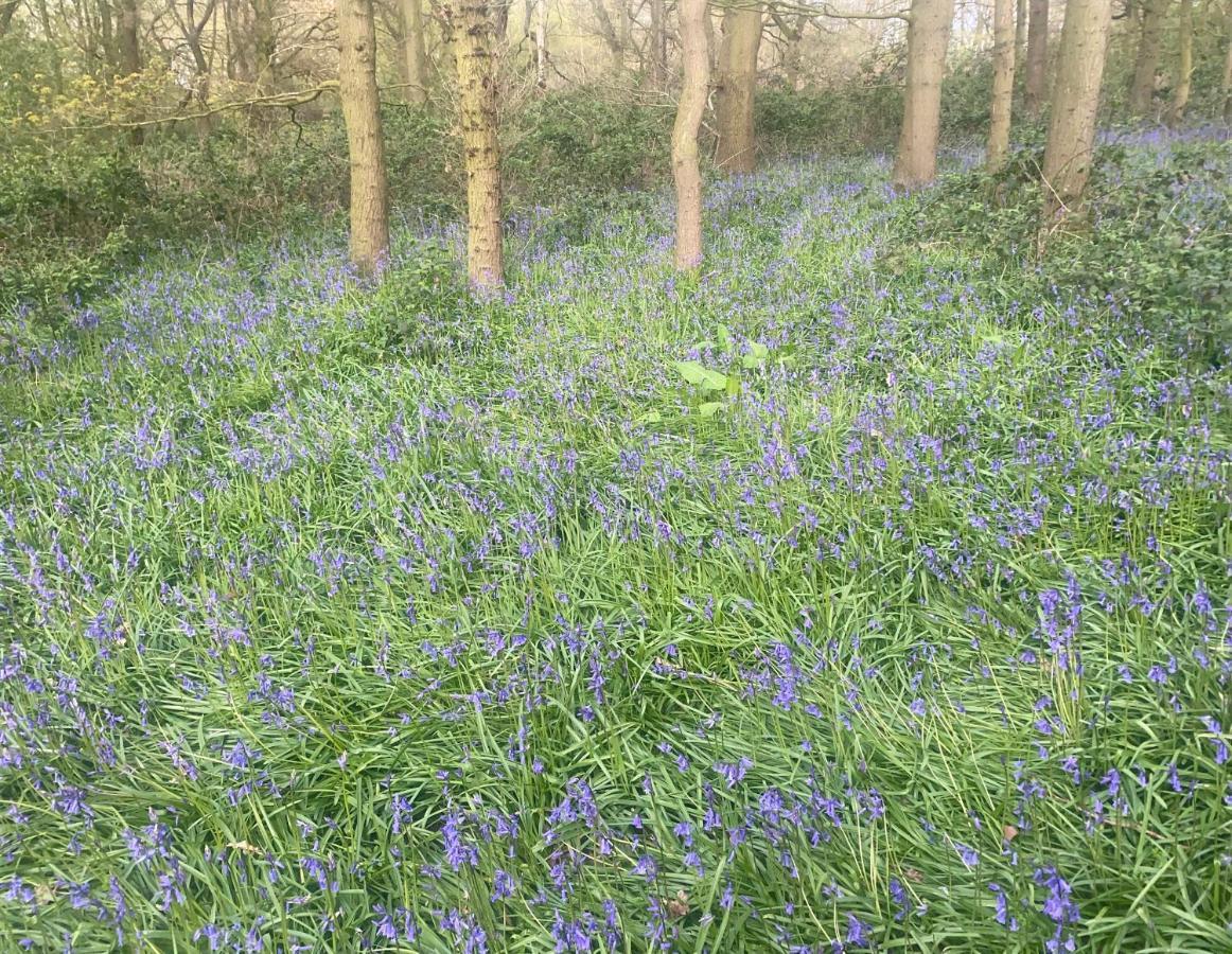 Bluebell Cottage Selby Esterno foto